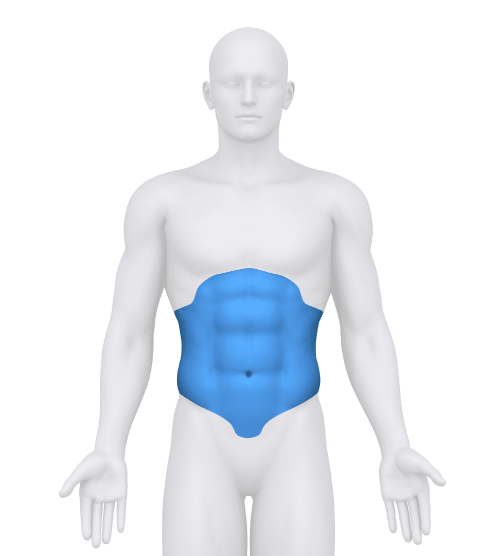 Body figure with the abs highlighted in blue