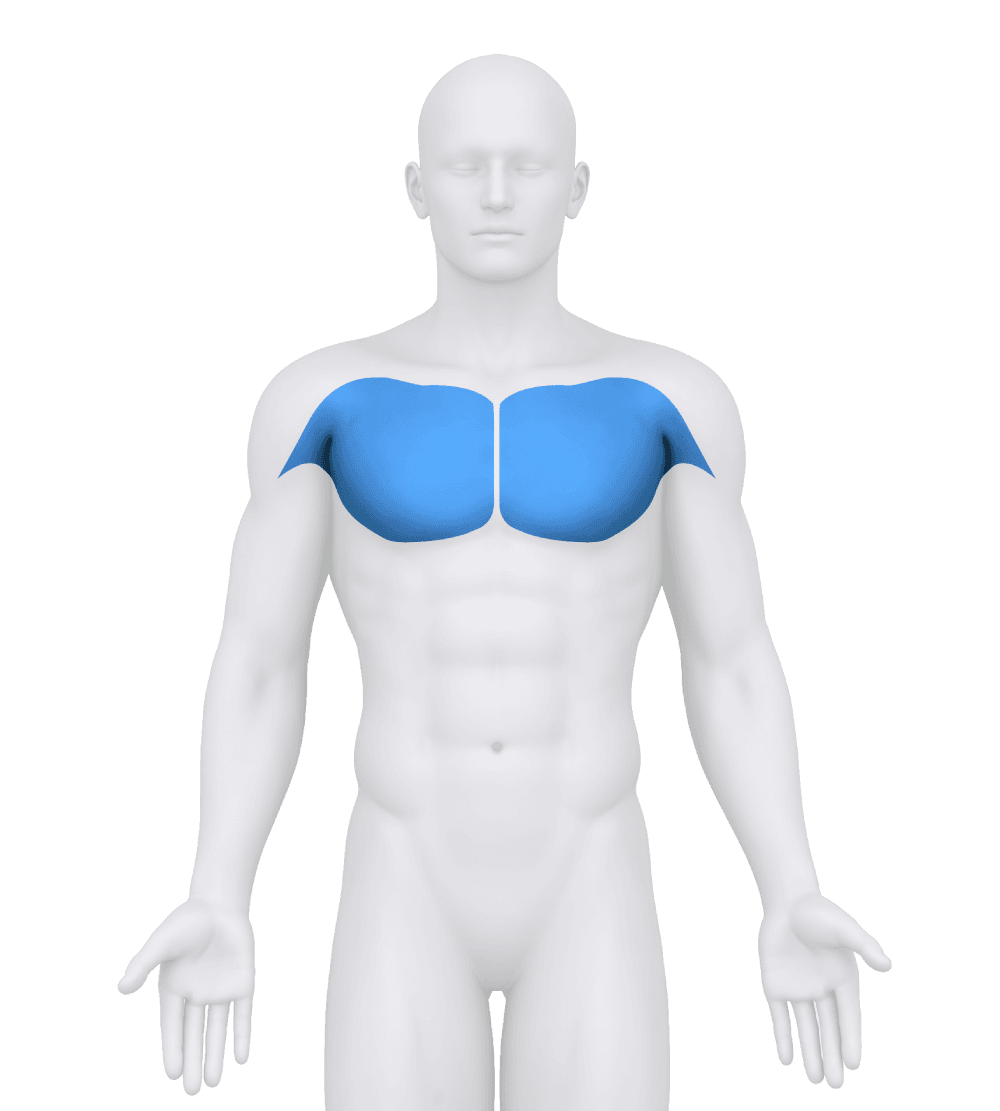 Body figure with the chest highlighted in blue