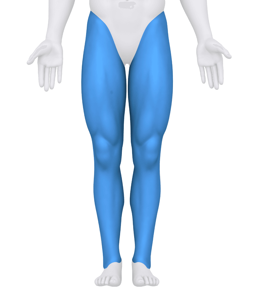 Body figure with the legs highlighted in blue