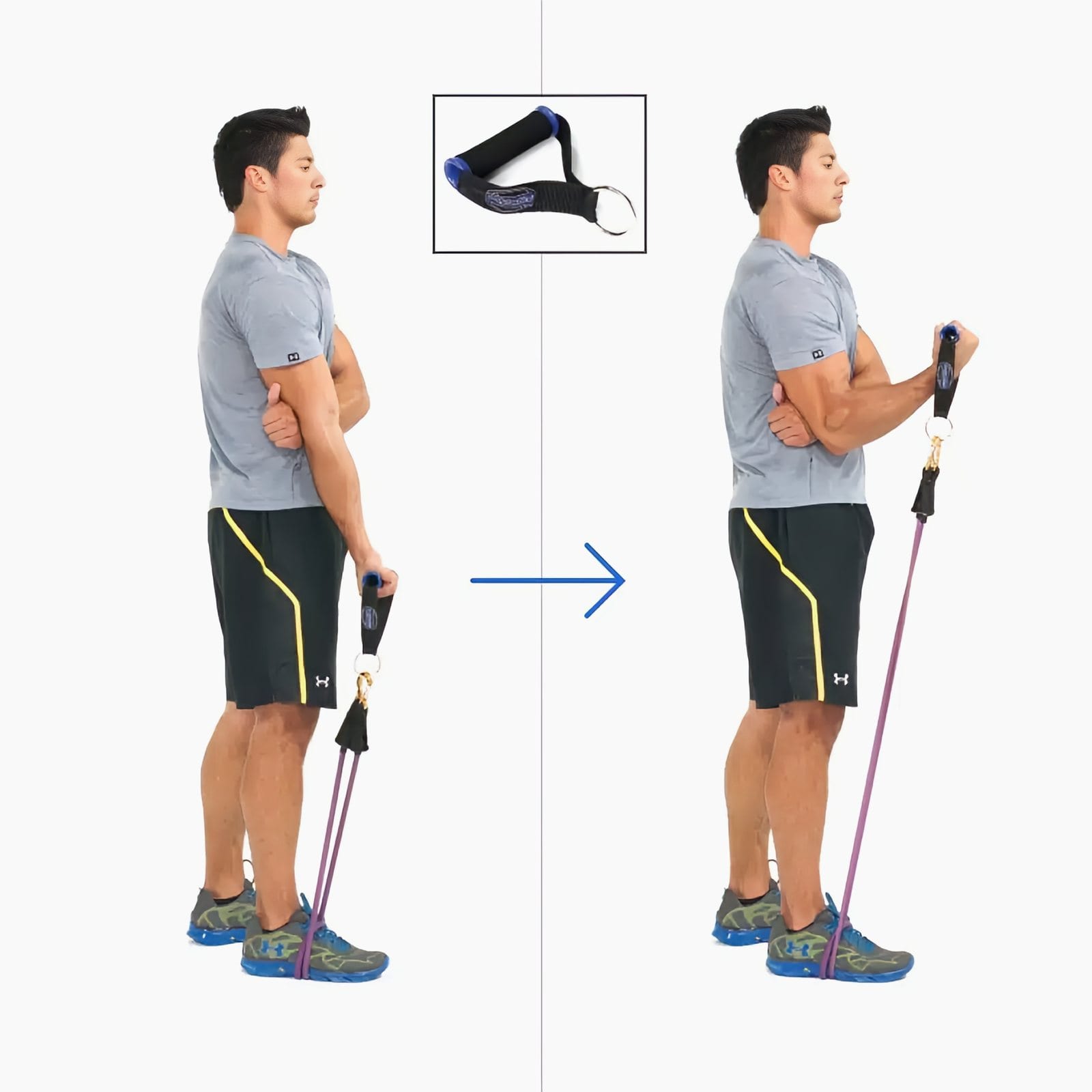 Man standing on a band, free arm across his body bracing his elbow, holding one handle low, then curling it to chest height.