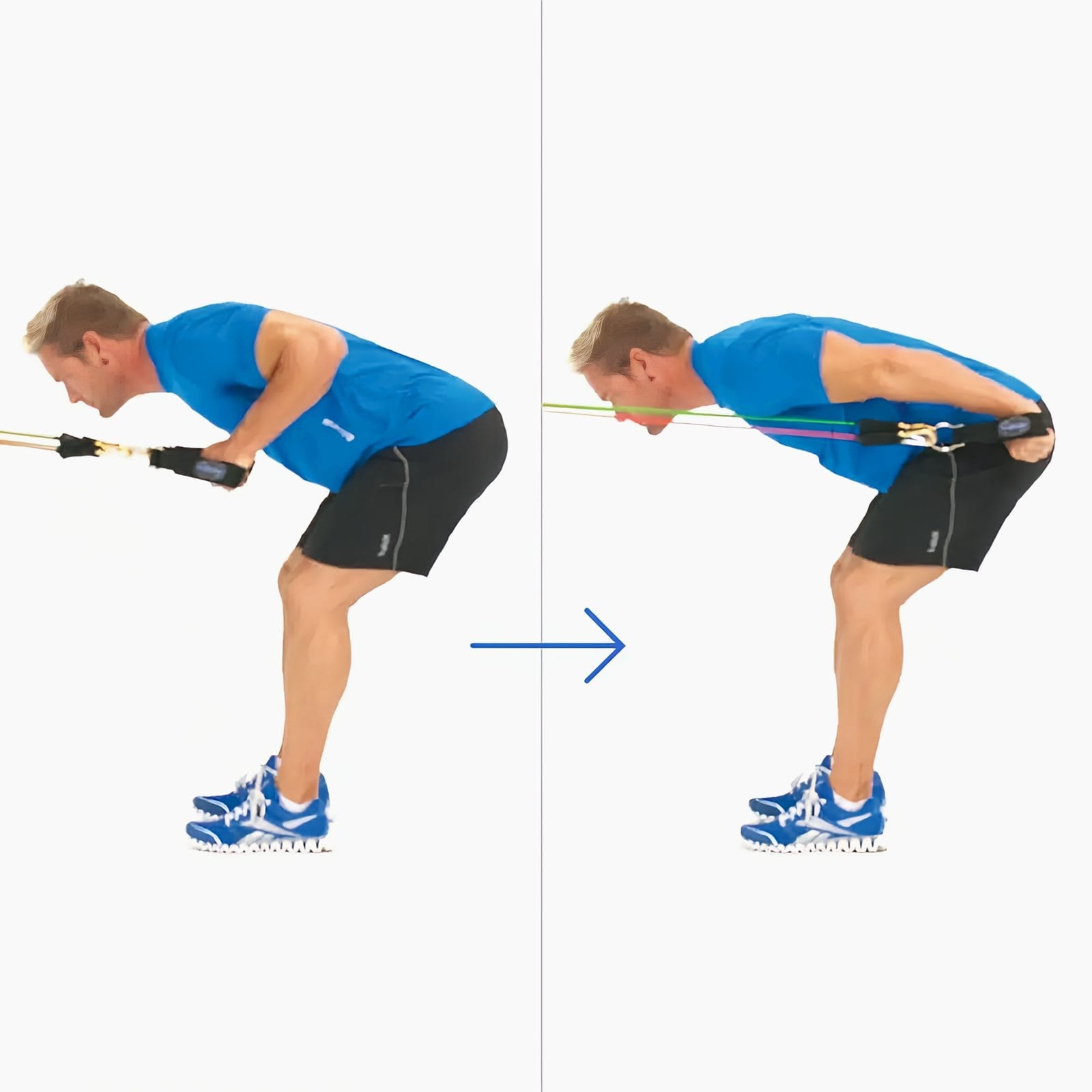 Man bent forward facing a waist-high anchor, holding ankle straps below his chest, then pushing both hands back to his hips.